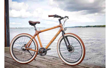 my Ashanti - Bambus City Cruiser - my Boo