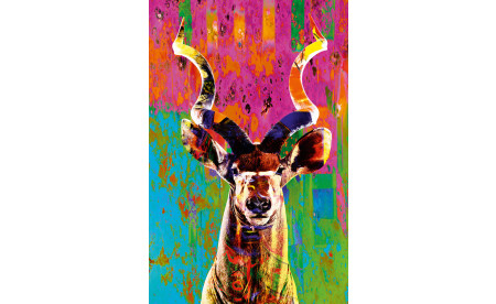 New Urban Animal 082 cut - Norbert Schäfer PhotoArt