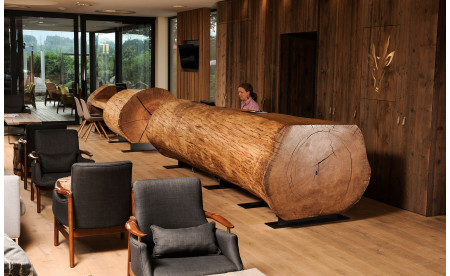 Gastronomie & Hotellerie - StammDesign