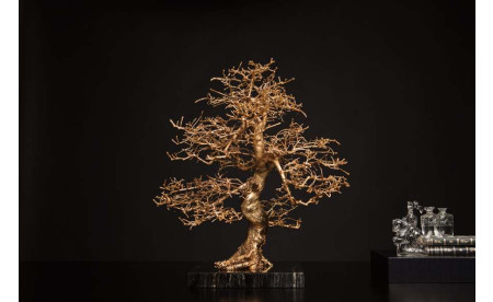 L’ARBRE „D´OR“