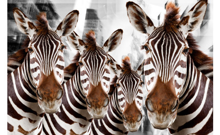 Urban Animals 07 - Norbert Schäfer PhotoArt