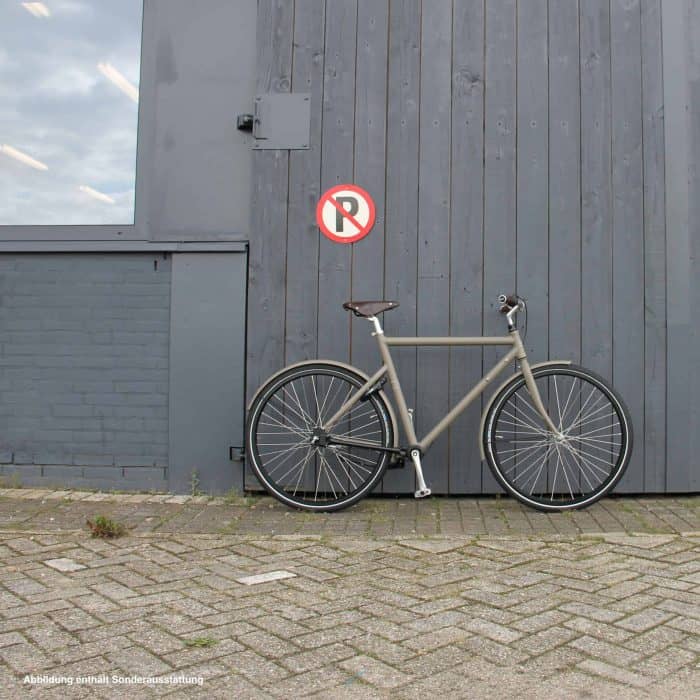 Herrenfahrrad Brik Bikes Brik Brut Standard 2