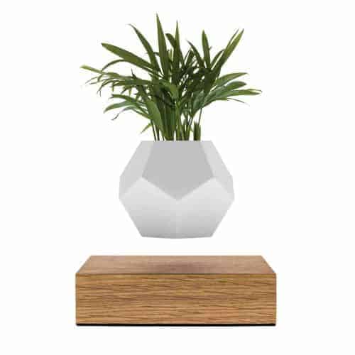 FLYTE Lyfe Planter 17