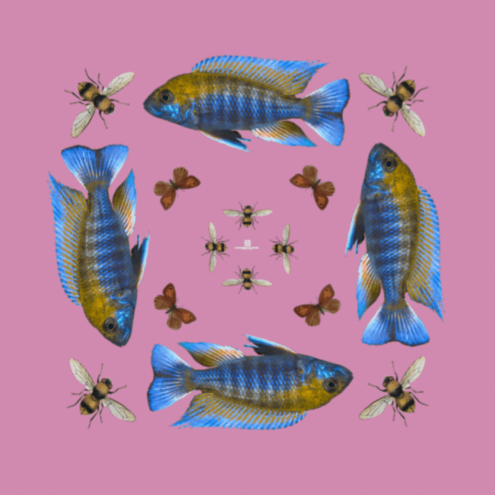 Butterfly & Fish Scarf pink 1
