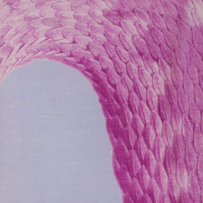 Snake Scarf blue-pink 4