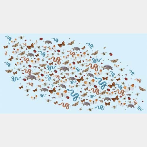 Jungle Party Scarf waterblue 17