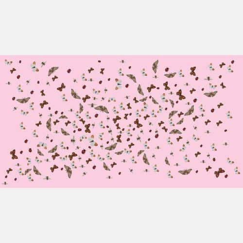 Ladybird pink 13
