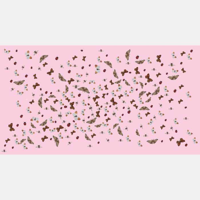 Ladybird pink 1