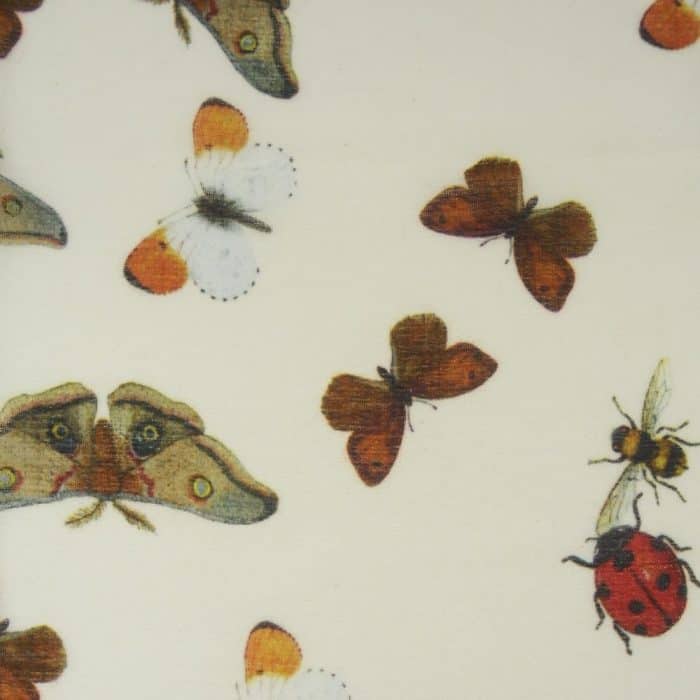 Ladybird white 7
