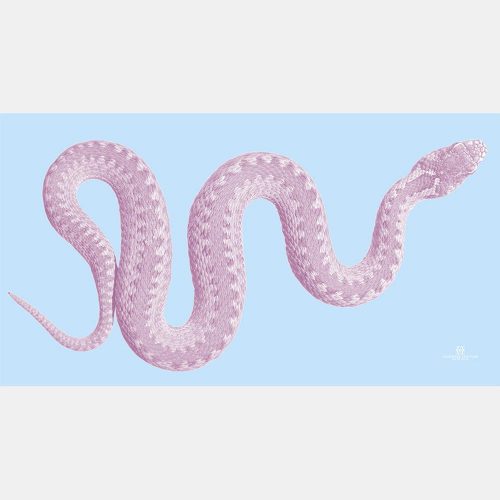 Snake Scarf blue-pink 14