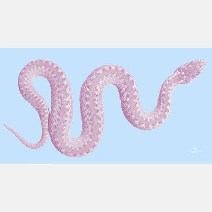Snake Scarf blue-pink 1