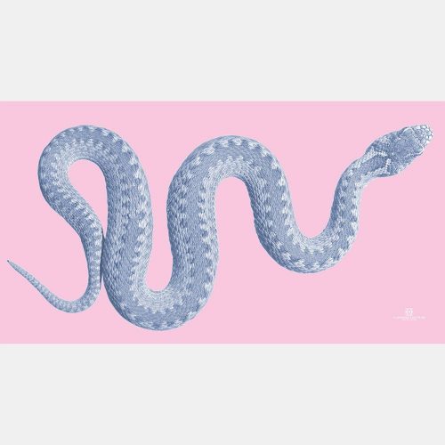Snake Scarf pink-blue 22