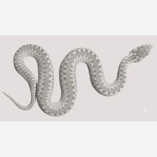 Snake Scarf weiss 23