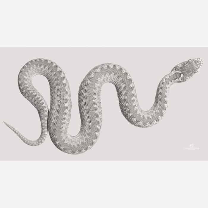 Snake Scarf weiss 1