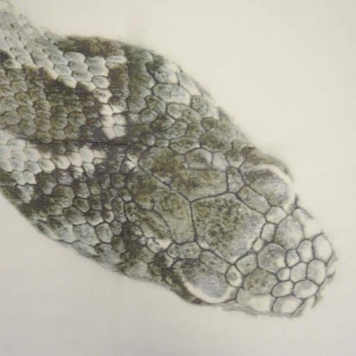 Snake Scarf weiss 6
