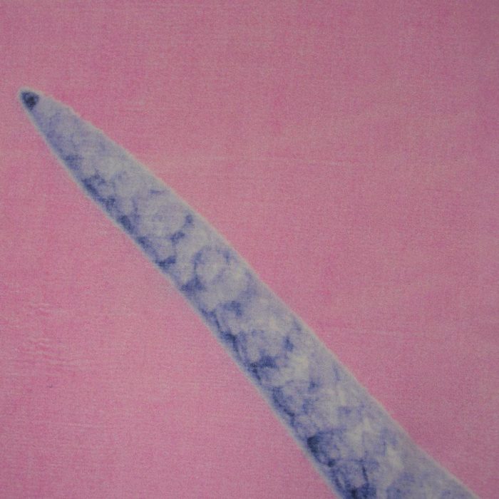 Snake Scarf pink-blue 4