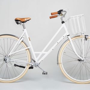Einzigartiges mit Stil ( Wartungsmodus ) 3 Brik Sec Anna Brik Bikes